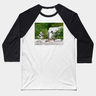 Humboldt Penguin Baseball T-Shirt